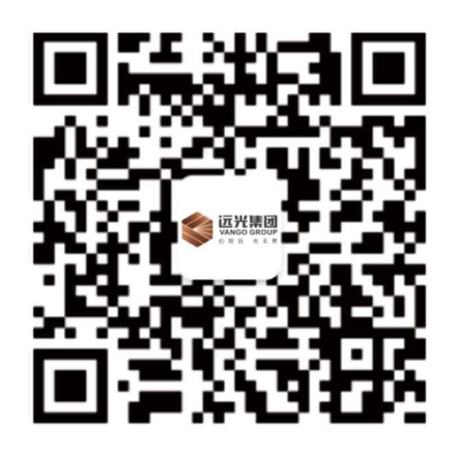 遠(yuǎn)光集團(tuán)