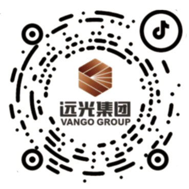 遠(yuǎn)光集團(tuán)